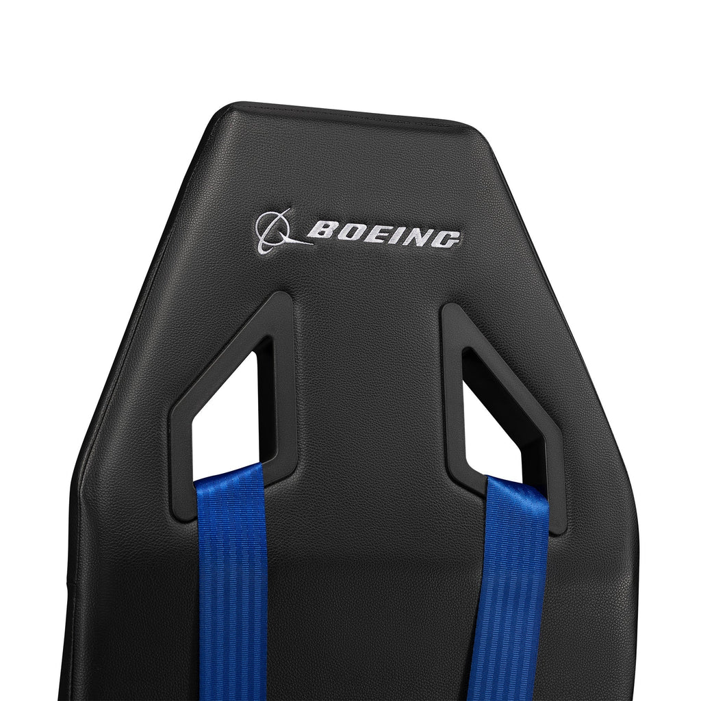 Flight Simulator: Boeing Commercial Edition