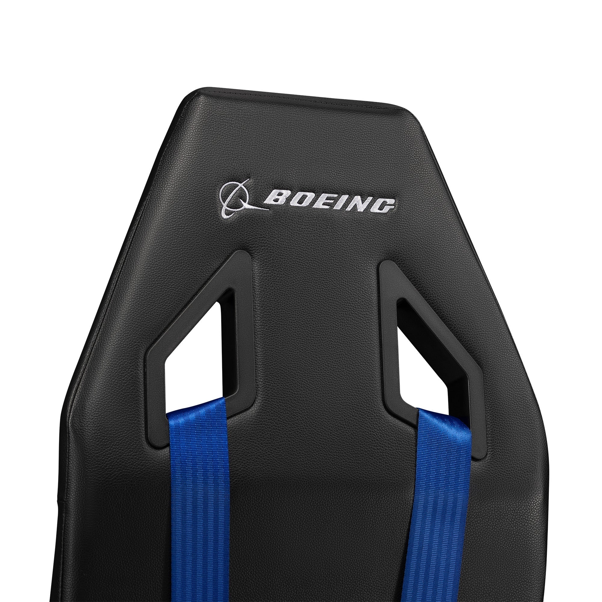 Flight Simulator: Boeing Commercial Edition